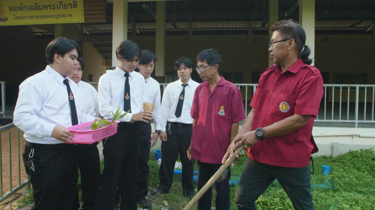 พฤกษาภาชนะ