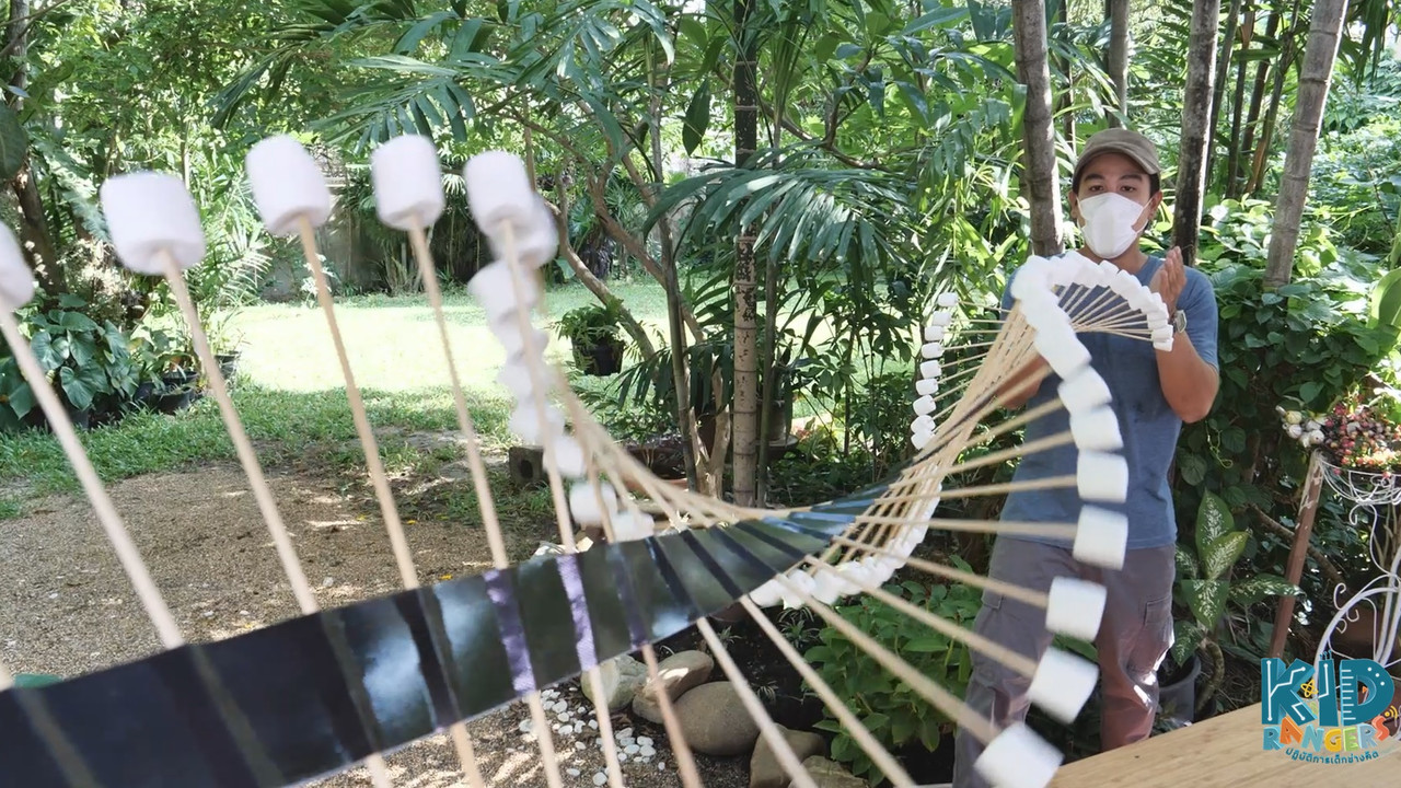 ​คลื่นเสียง