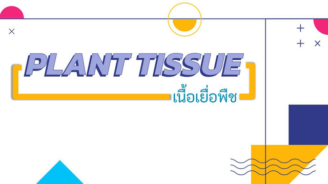 ห้องเรียนติวเข้มมัธยม