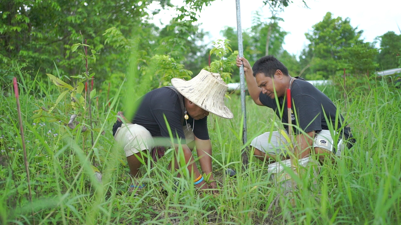 พ่อเลี่ยม ทางเลือกที่พาชีวิตรอดผ่านวิกฤตโควิด-19