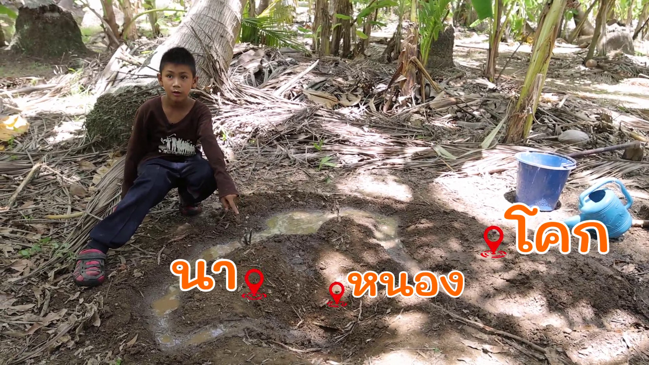 ที่มาของโคกหนองนา