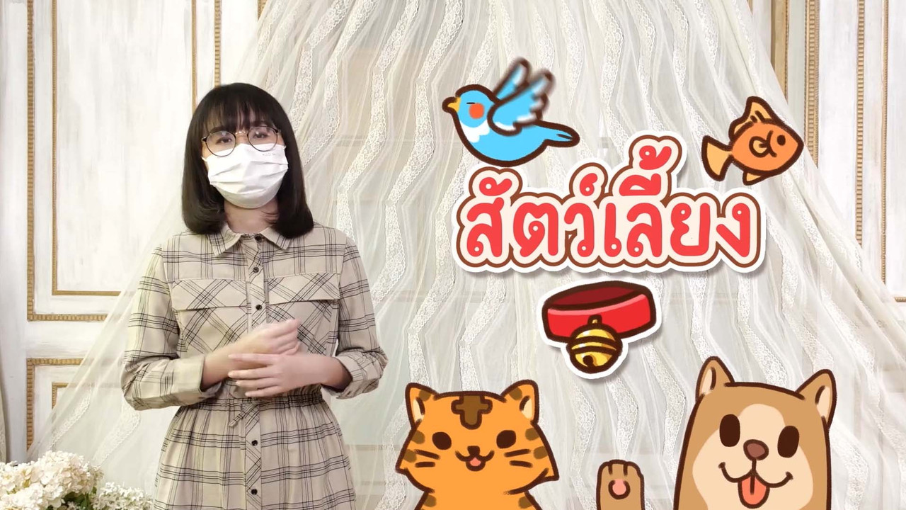เราเลี้ยงสัตว์ได้ทุกชนิดไหม ? 