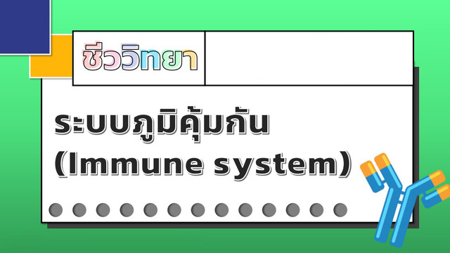 ห้องเรียนติวเข้มมัธยม