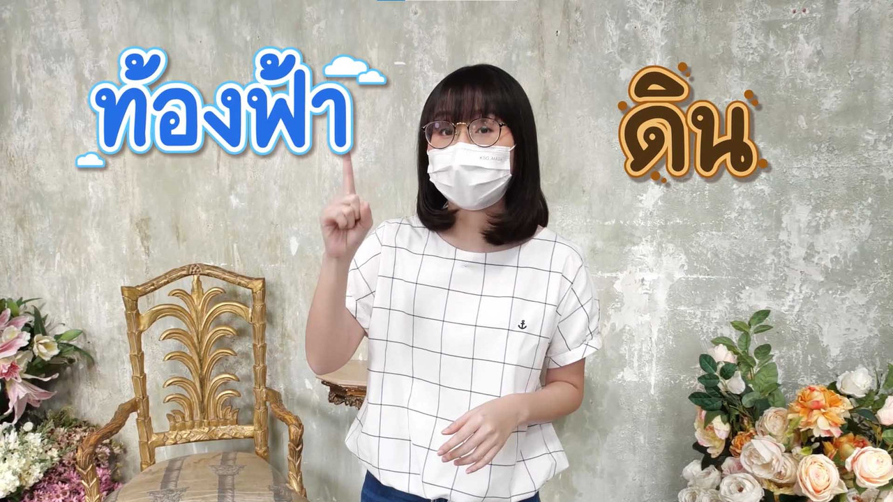 พื้นดิน
