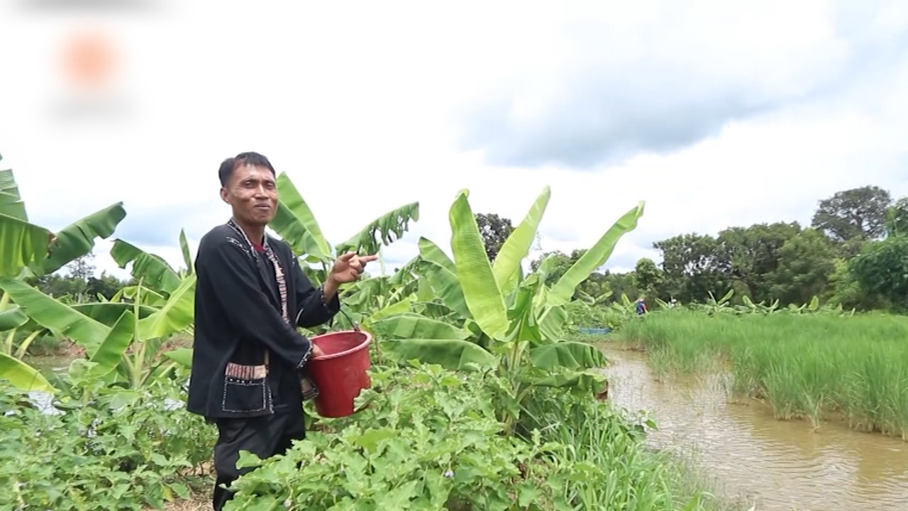 เกษตรผสมผสานกับที่ดิน 5 ไร่ จ.อำนาจเจริญ