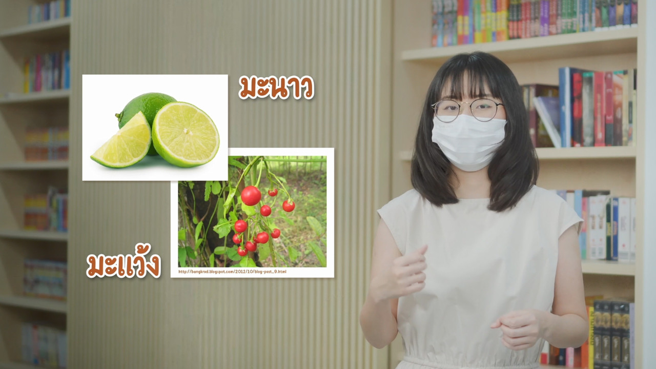 ทำไมโลกต้องมีต้นไม้ ?