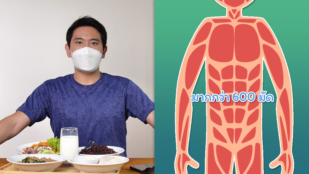 กล้ามเนื้อ