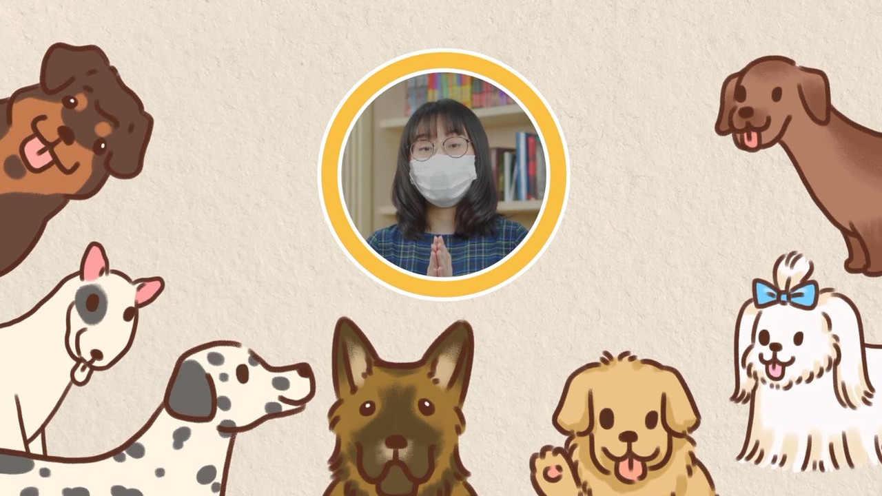 สุนัขแสนรู้ 