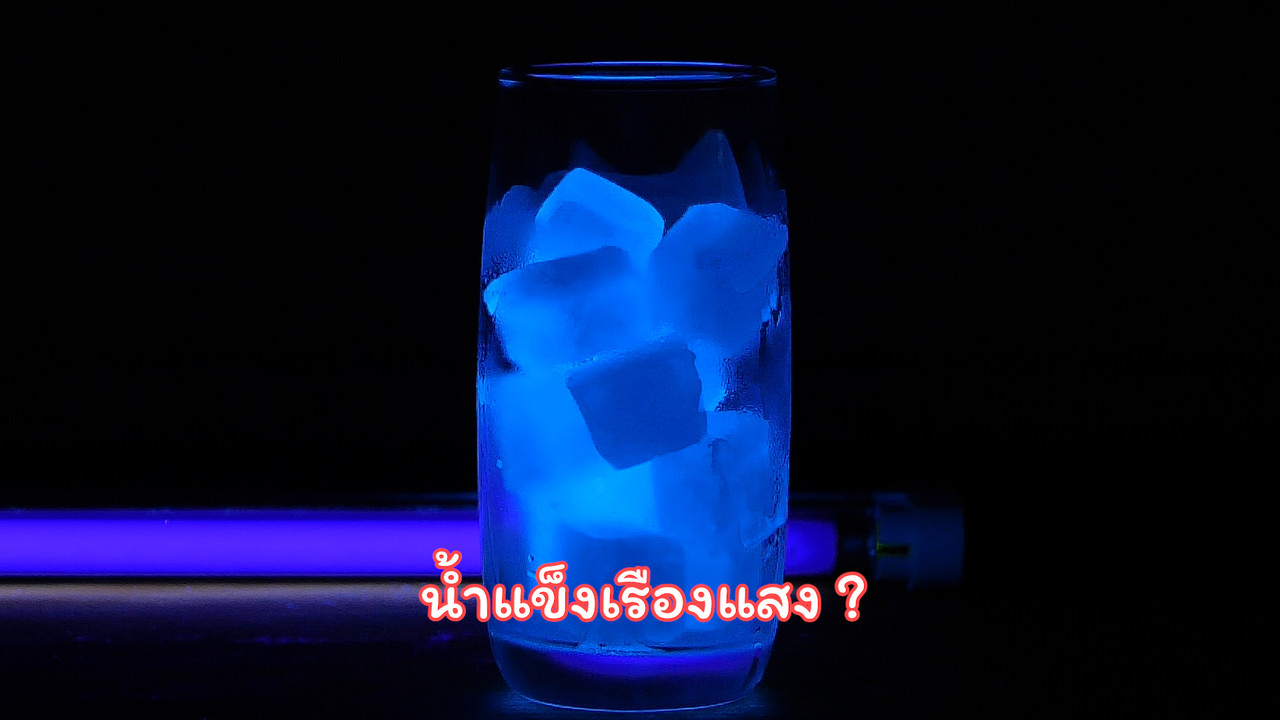สิ่งเรืองแสง 