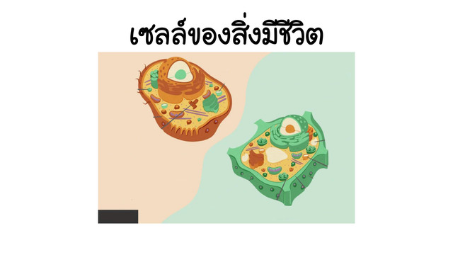 ห้องเรียนติวเข้ม ม.ต้น
