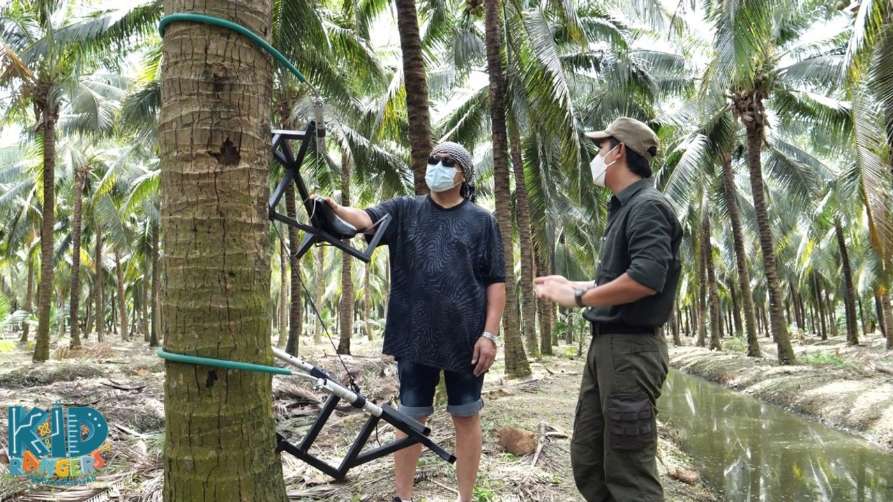 ​เครื่องปีนต้นมะพร้าว