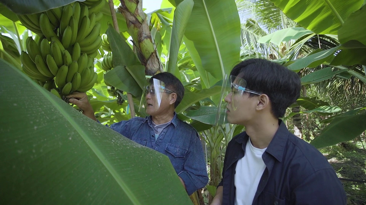 เกษียณแบบกล้วยๆ