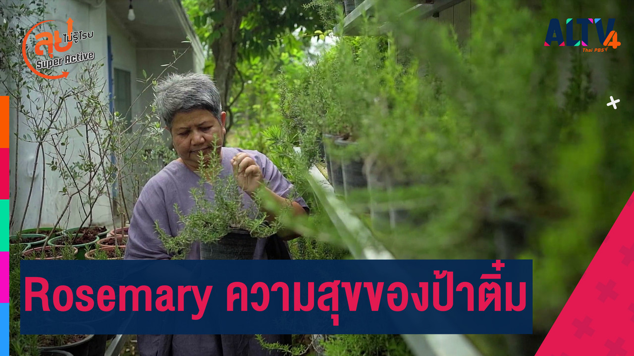 Rosemary ความสุขของป้าติ๋ม - ALTV ช่อง 4