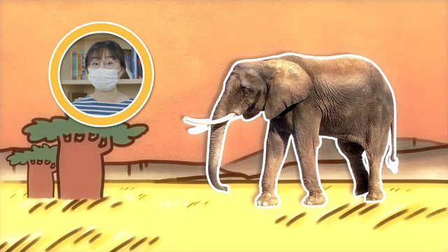 สังคม สนุกคิด