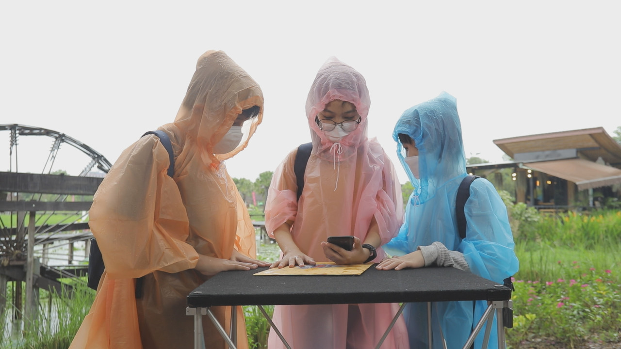คณิตศาสตร์บนแปลงเกษตร