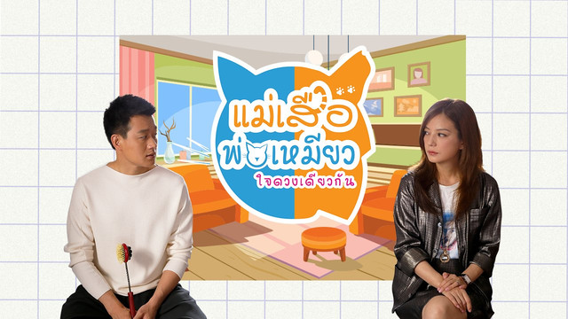 ซีรีส์จีน แม่เสือ พ่อเหมียว...ใจดวงเดียวกัน