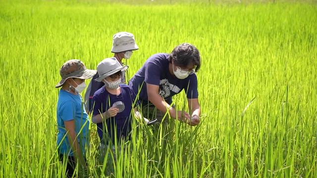 ธรรมชาติ...มาโชว์
