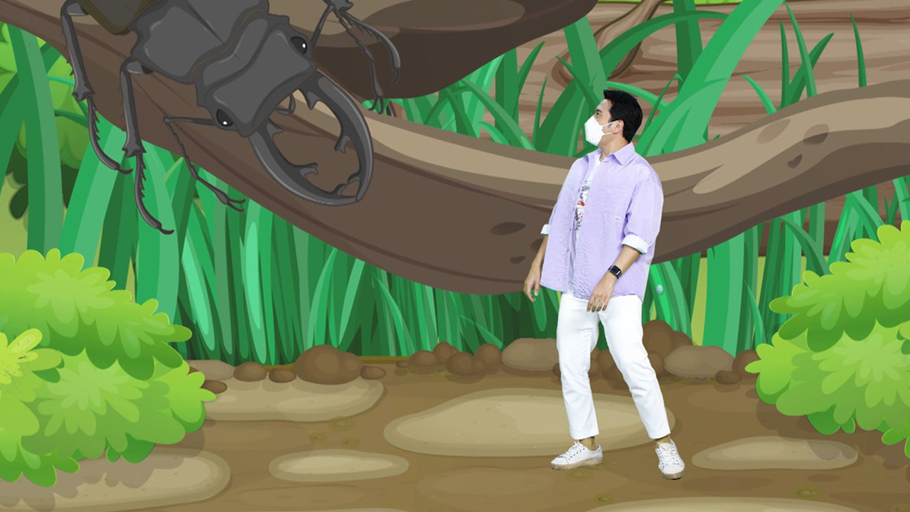 โลกแมลงน่ารู้
