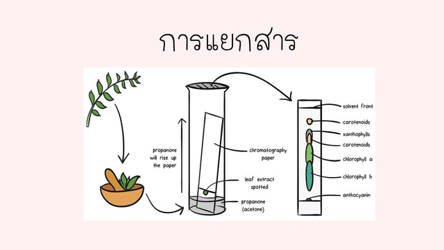 ห้องเรียนติวเข้ม ม.ต้น