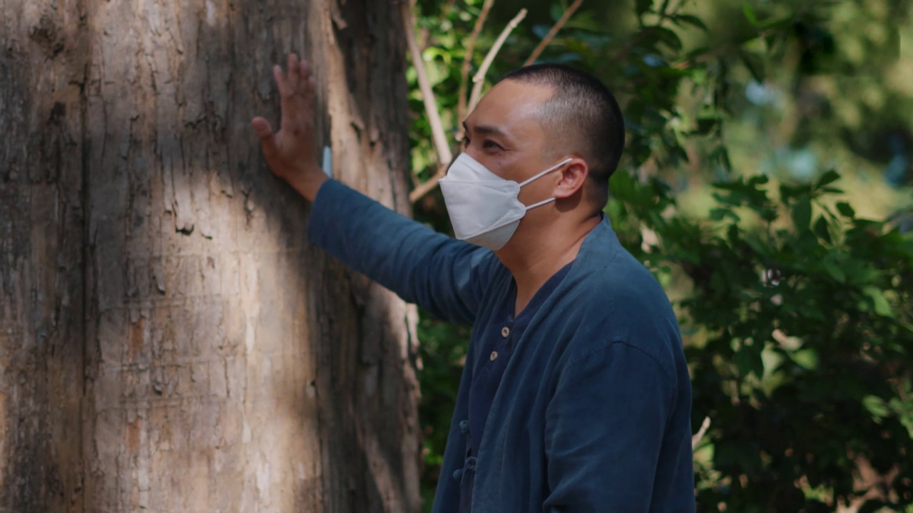 Tree Stories เชื่อมสัมพันธ์ต้นไม้กับชุมชน