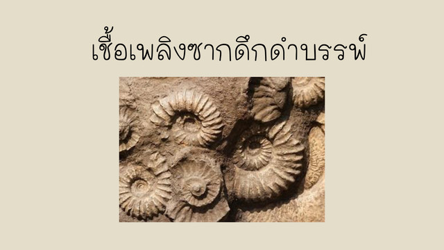 ห้องเรียนติวเข้ม ม.ต้น