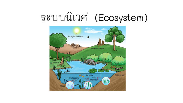 ห้องเรียนติวเข้ม ม.ต้น