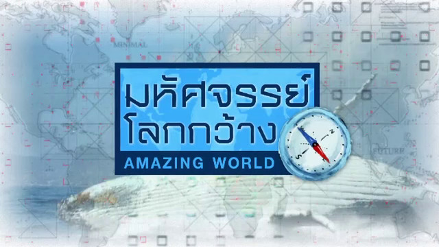 มหัศจรรย์โลกกว้าง