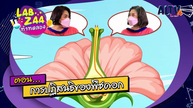Lab Zaa ท้าทดลอง