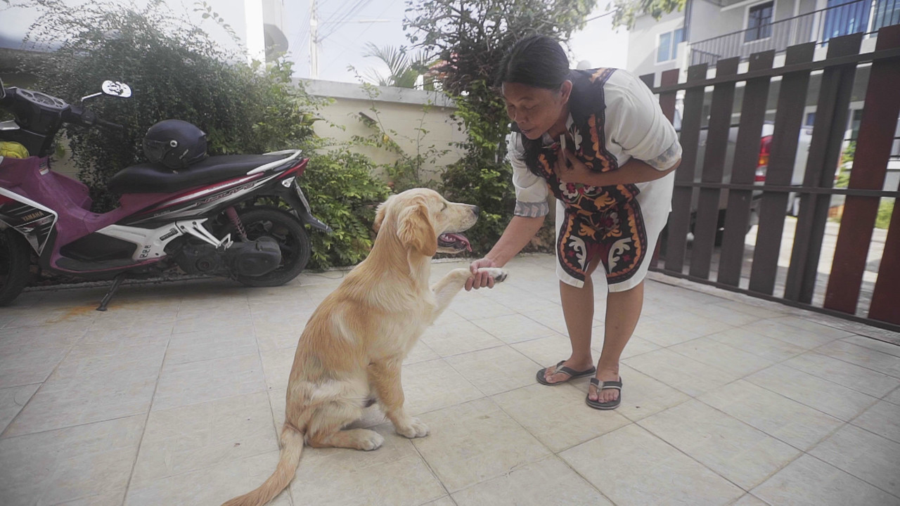 มีคุณหลานรักยาย