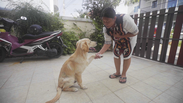 ตัวโปรดตัวป่วน