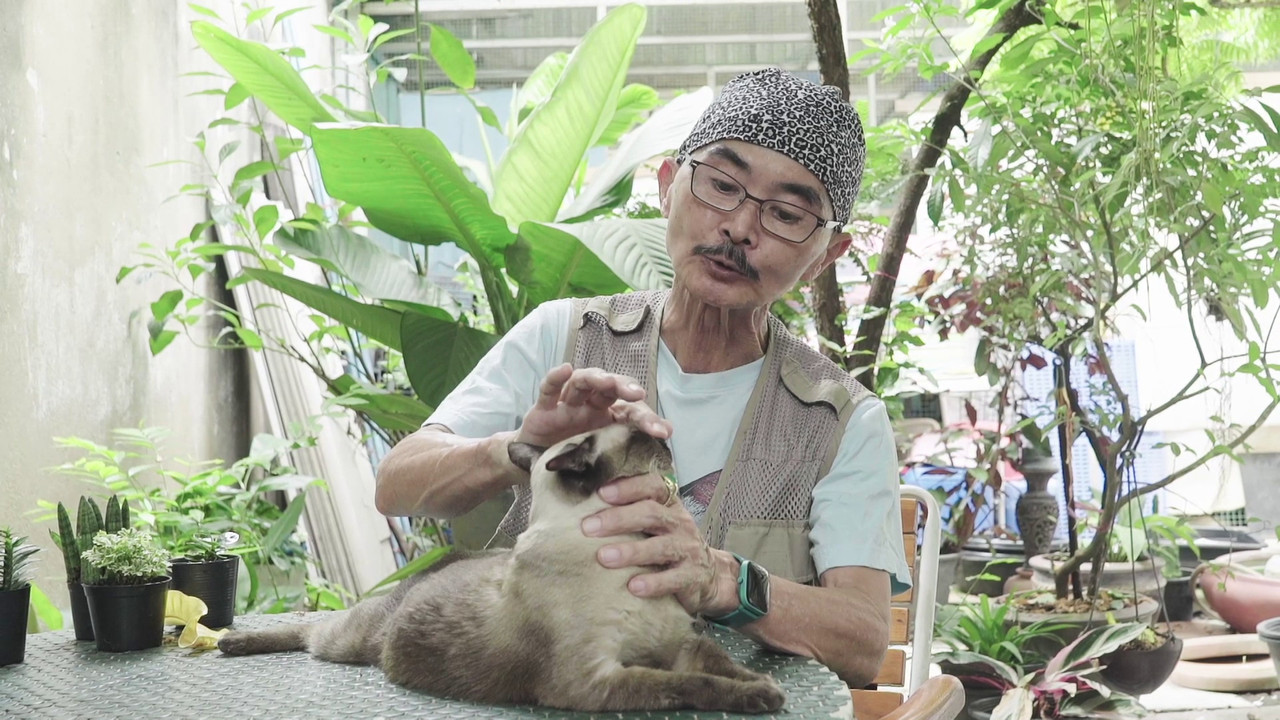 ลุงปรีชาแมวไทย