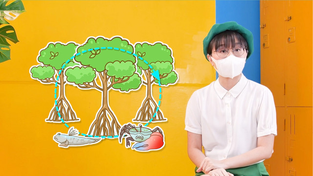 สังคม สนุกคิด