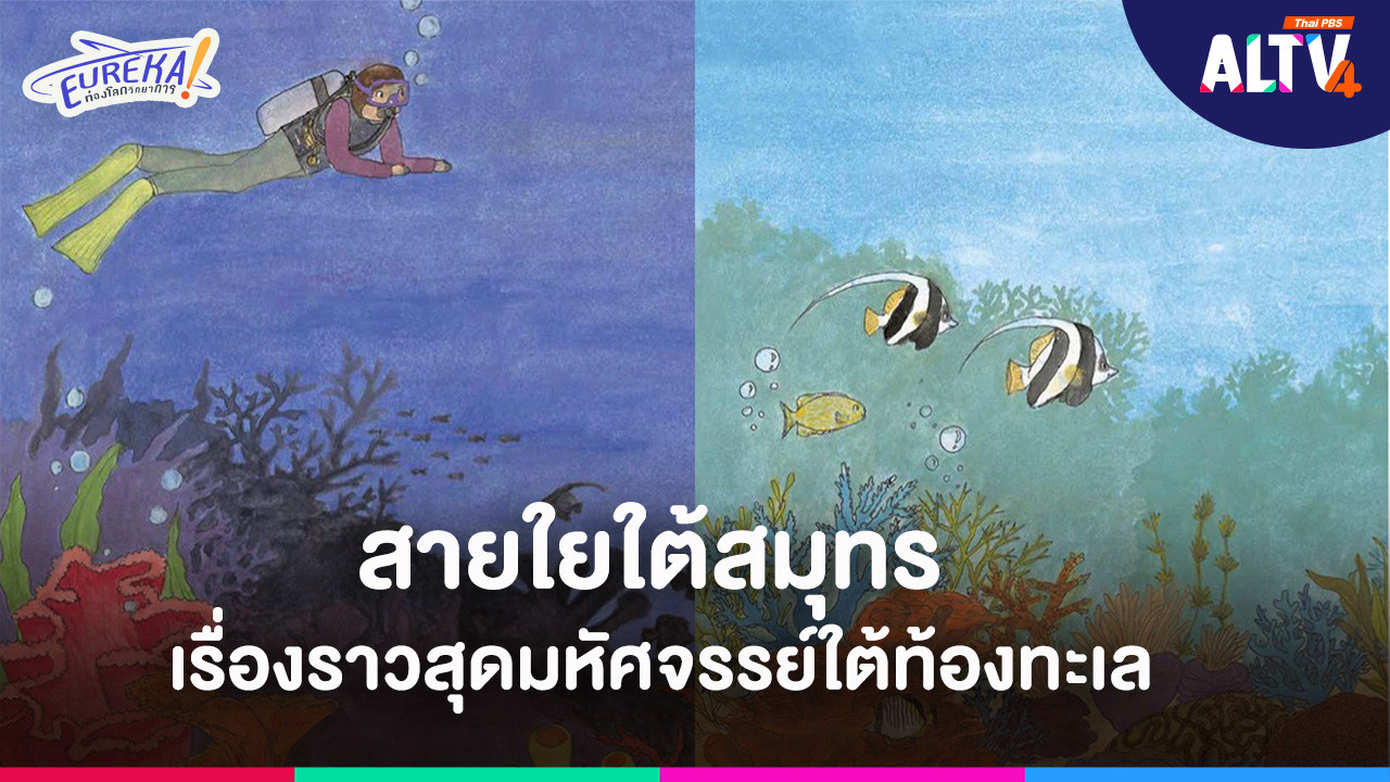 สายใยใต้สมุทร เรื่องราวสุดมหัศจรรย์ใต้ทะเล